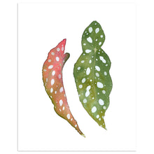 Load image into Gallery viewer, Watercolor Houseplant Print