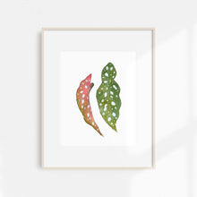 Load image into Gallery viewer, Watercolor Begonia Print