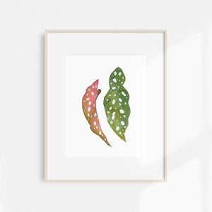 Watercolor Begonia Print