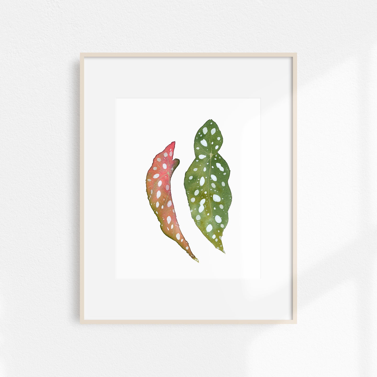Watercolor Begonia Print