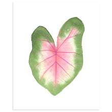 Load image into Gallery viewer, Watercolor Houseplant Print