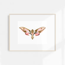 Load image into Gallery viewer, Hawk Moth
