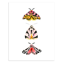 Load image into Gallery viewer, Sheep and Tiger Moths