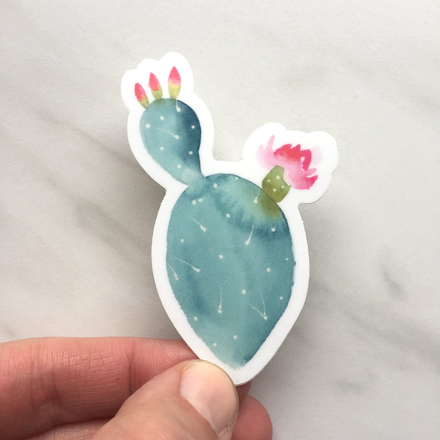 Pink Flower Cactus Sticker No. 01
